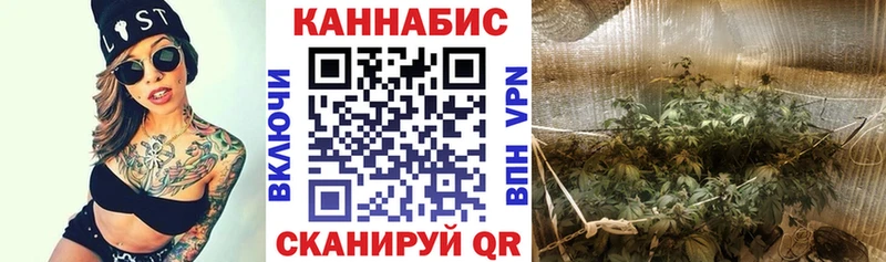 блэк спрут маркетплейс  Канаш  Бошки марихуана семена 